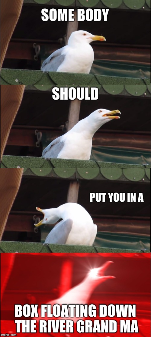 Inhaling Seagull | SOME BODY; SHOULD; PUT YOU IN A; BOX FLOATING DOWN THE RIVER GRAND MA | image tagged in memes,inhaling seagull | made w/ Imgflip meme maker