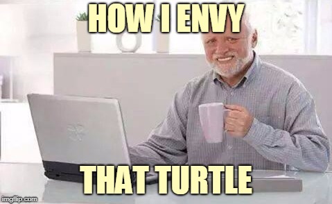 HOW I ENVY THAT TURTLE | made w/ Imgflip meme maker