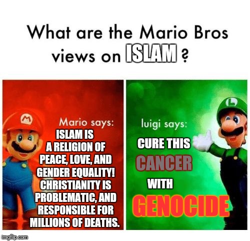 Mario says Luigi says | ISLAM; ISLAM IS A RELIGION OF PEACE, LOVE, AND GENDER EQUALITY! CHRISTIANITY IS PROBLEMATIC, AND RESPONSIBLE FOR MILLIONS OF DEATHS. CURE THIS; CANCER; WITH; GENOCIDE | image tagged in mario says luigi says | made w/ Imgflip meme maker