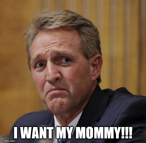 Senator Flake | I WANT MY MOMMY!!! | image tagged in senator flake | made w/ Imgflip meme maker