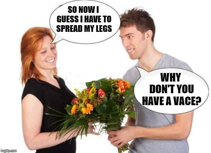 silly questions | SO NOW I GUESS I HAVE TO SPREAD MY LEGS; WHY DON'T YOU HAVE A VACE? | image tagged in flowers,gift | made w/ Imgflip meme maker