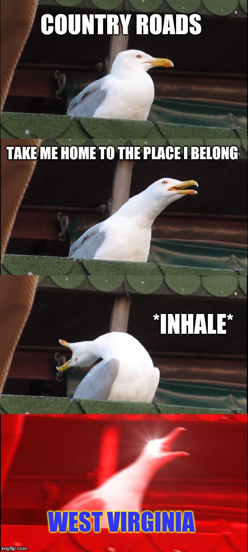 Inhaling Seagull Meme | COUNTRY ROADS; TAKE ME HOME TO THE PLACE I BELONG; *INHALE*; WEST VIRGINIA | image tagged in memes,inhaling seagull | made w/ Imgflip meme maker