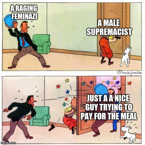 Tintin |  A RAGING FEMINAZI; A MALE SUPREMACIST; JUST A A NICE GUY TRYING TO PAY FOR THE MEAL | image tagged in tintin | made w/ Imgflip meme maker