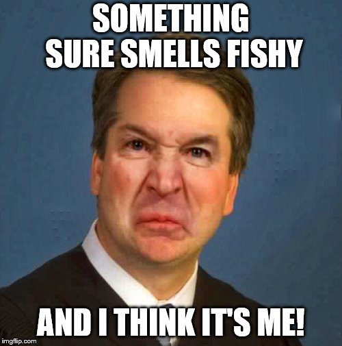 Something Sure Smells Fishy | SOMETHING SURE SMELLS FISHY; AND I THINK IT'S ME! | image tagged in brett kavanaugh,liars club | made w/ Imgflip meme maker