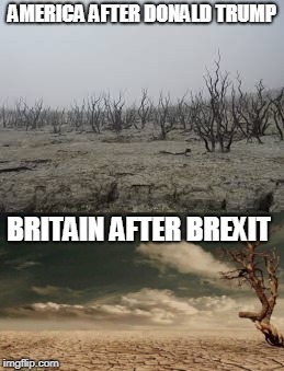 2 of the most powerful and historical countries in 20 years time | AMERICA AFTER DONALD TRUMP; BRITAIN AFTER BREXIT | image tagged in memes,donald trump,brexit,future,funny,politics | made w/ Imgflip meme maker