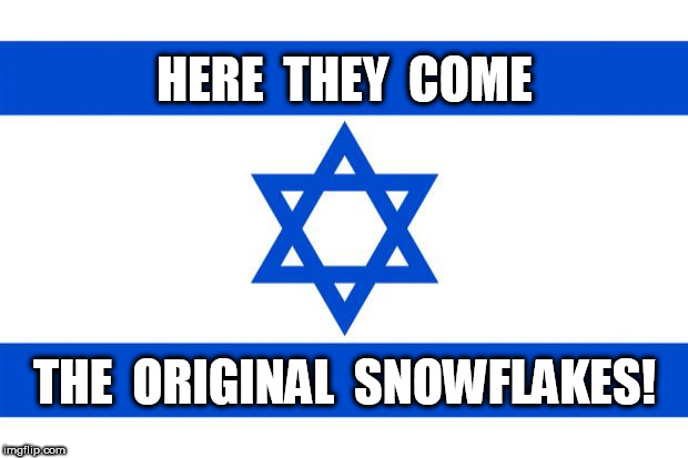 meme israel  | HERE  THEY  COME THE  ORIGINAL  SNOWFLAKES! | image tagged in meme israel | made w/ Imgflip meme maker