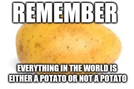 Potato | REMEMBER; EVERYTHING IN THE WORLD IS EITHER A POTATO OR NOT A POTATO | image tagged in potato | made w/ Imgflip meme maker