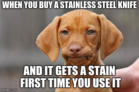 Dissapointed puppy | WHEN YOU BUY A STAINLESS STEEL KNIFE; AND IT GETS A STAIN FIRST TIME YOU USE IT | image tagged in dissapointed puppy | made w/ Imgflip meme maker