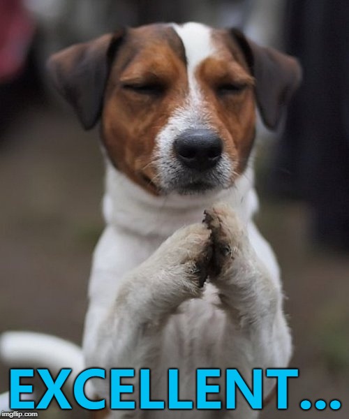 Mr Burns gets reincarnated... :) | EXCELLENT... | image tagged in praying dog,memes,mr burns,the simpsons,animals,dogs | made w/ Imgflip meme maker