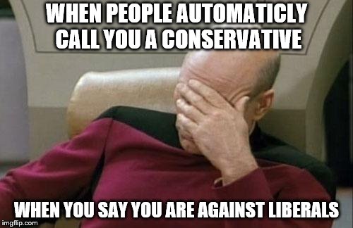 Captain Picard Facepalm | WHEN PEOPLE AUTOMATICLY CALL YOU A CONSERVATIVE; WHEN YOU SAY YOU ARE AGAINST LIBERALS | image tagged in memes,captain picard facepalm | made w/ Imgflip meme maker