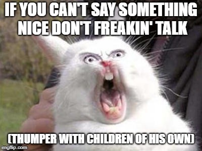 Angry Bunny | IF YOU CAN'T SAY SOMETHING NICE
DON'T FREAKIN' TALK; (THUMPER WITH CHILDREN OF HIS OWN) | image tagged in angry bunny | made w/ Imgflip meme maker