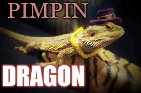 PIMPIN; DRAGON | image tagged in pimpin dragon | made w/ Imgflip meme maker