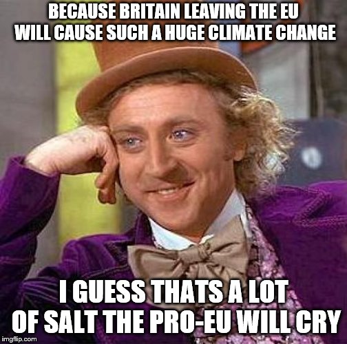 Creepy Condescending Wonka Meme | BECAUSE BRITAIN LEAVING THE EU WILL CAUSE SUCH A HUGE CLIMATE CHANGE I GUESS THATS A LOT OF SALT THE PRO-EU WILL CRY | image tagged in memes,creepy condescending wonka | made w/ Imgflip meme maker
