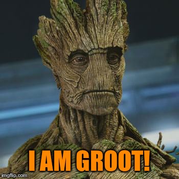 I AM GROOT! | made w/ Imgflip meme maker