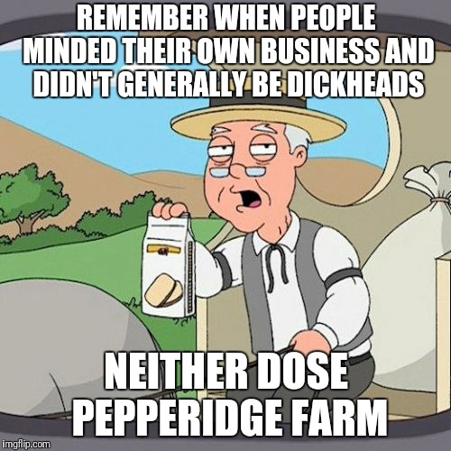 Pepperidge Farm Remembers Meme | REMEMBER WHEN PEOPLE MINDED THEIR OWN BUSINESS AND DIDN'T GENERALLY BE DICKHEADS; NEITHER DOSE PEPPERIDGE FARM | image tagged in memes,pepperidge farm remembers | made w/ Imgflip meme maker