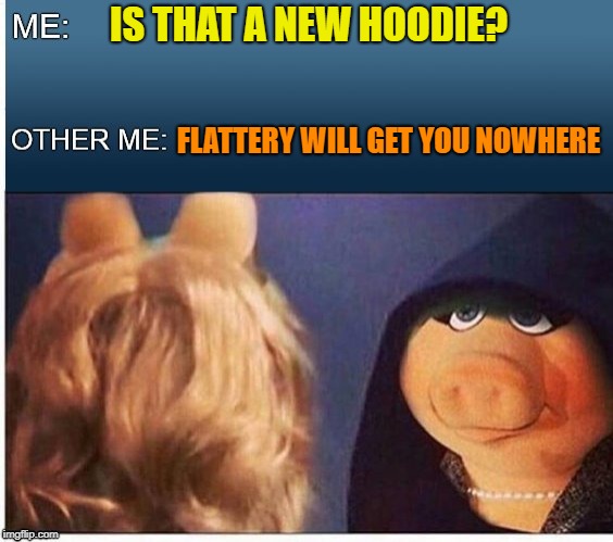 Nice try (the female version) | IS THAT A NEW HOODIE? FLATTERY WILL GET YOU NOWHERE | image tagged in memes,evil miss piggy,compliment | made w/ Imgflip meme maker