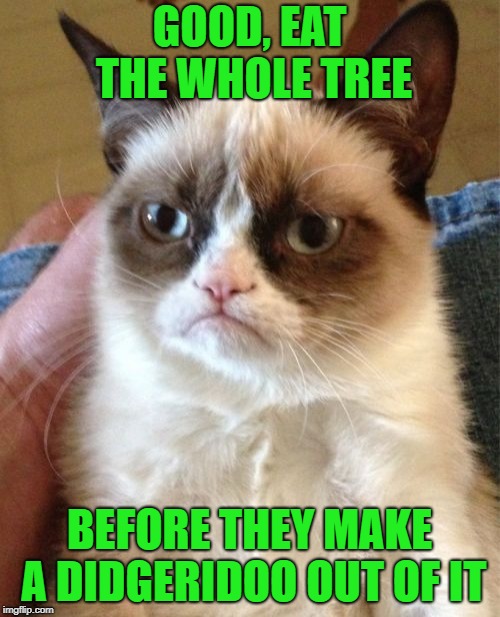 Grumpy Cat Meme | GOOD, EAT THE WHOLE TREE BEFORE THEY MAKE A DIDGERIDOO OUT OF IT | image tagged in memes,grumpy cat | made w/ Imgflip meme maker