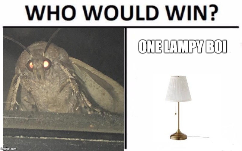 Who Would Win? | ONE LAMPY BOI | image tagged in memes,who would win | made w/ Imgflip meme maker