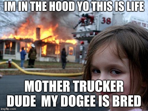 Disaster Girl Meme | IM IN THE HOOD YO THIS IS LIFE; MOTHER TRUCKER DUDE  MY DOGEE IS BRED | image tagged in memes,disaster girl | made w/ Imgflip meme maker