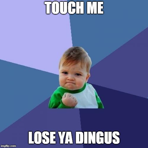 Success Kid Meme | TOUCH ME; LOSE YA DINGUS | image tagged in memes,success kid | made w/ Imgflip meme maker