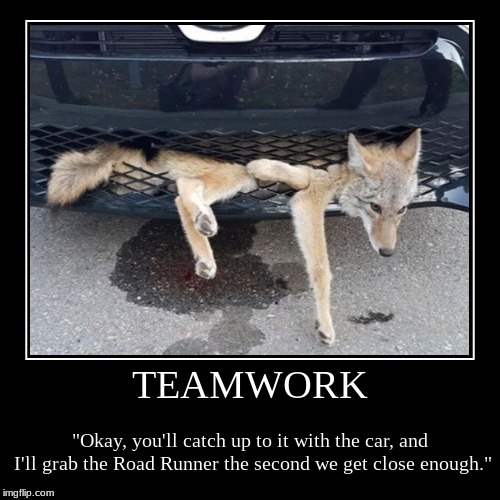 teamwork fail meme