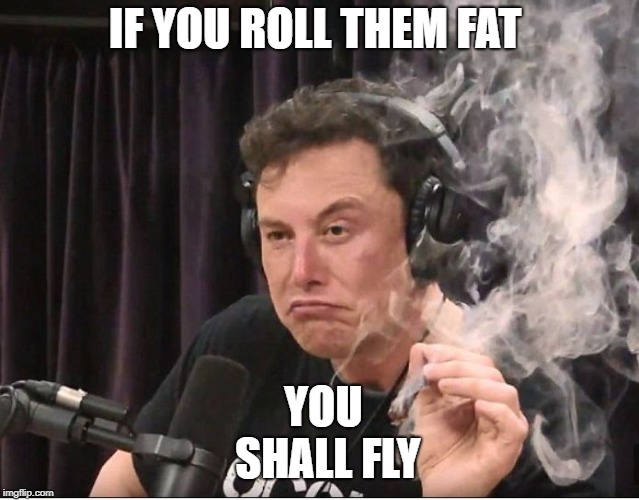 Elon Musk smoking a joint | IF YOU ROLL THEM FAT YOU SHALL FLY | image tagged in elon musk smoking a joint | made w/ Imgflip meme maker