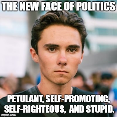 David Hogg | THE NEW FACE OF POLITICS; PETULANT, SELF-PROMOTING, SELF-RIGHTEOUS, 
AND STUPID. | image tagged in david hogg | made w/ Imgflip meme maker