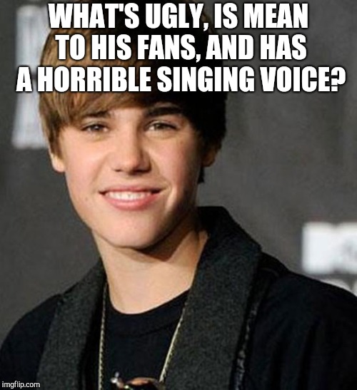 justin bieber | WHAT'S UGLY, IS MEAN TO HIS FANS, AND HAS A HORRIBLE SINGING VOICE? | image tagged in justin bieber | made w/ Imgflip meme maker