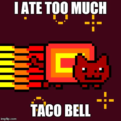 Noo
 | I ATE TOO MUCH; TACO BELL | image tagged in taco bell | made w/ Imgflip meme maker