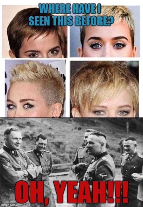 Female Fascist Haircuts | WHERE HAVE I SEEN THIS BEFORE? OH, YEAH!!! | image tagged in feminist,fascist,radical feminism | made w/ Imgflip meme maker