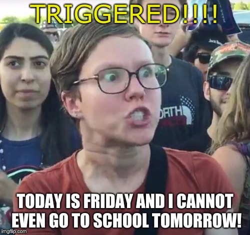 OMG | TRIGGERED!!!! TODAY IS FRIDAY AND I CANNOT EVEN GO TO SCHOOL TOMORROW! | image tagged in school,weekdays,weekend,triggered | made w/ Imgflip meme maker