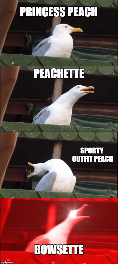 Inhaling Seagull Meme | PRINCESS PEACH; PEACHETTE; SPORTY OUTFIT PEACH; BOWSETTE | image tagged in memes,inhaling seagull | made w/ Imgflip meme maker