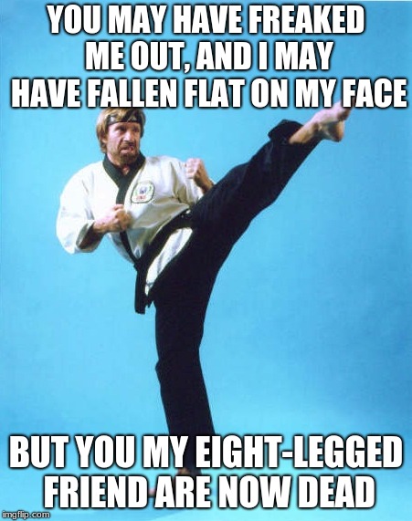 take that spider! | YOU MAY HAVE FREAKED ME OUT, AND I MAY HAVE FALLEN FLAT ON MY FACE; BUT YOU MY EIGHT-LEGGED FRIEND ARE NOW DEAD | image tagged in chuck norris kick | made w/ Imgflip meme maker