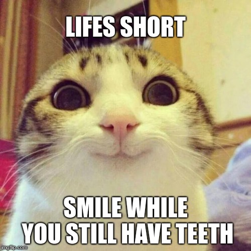 Smiling Cat Meme | LIFES SHORT; SMILE WHILE YOU STILL HAVE TEETH | image tagged in memes,smiling cat | made w/ Imgflip meme maker