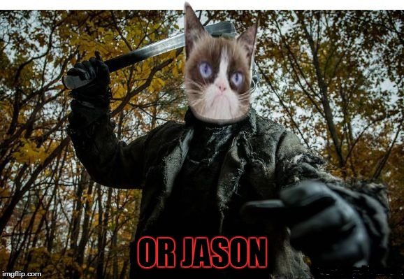 grumpy cat jason | OR JASON | image tagged in grumpy cat jason | made w/ Imgflip meme maker