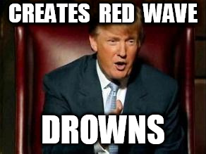 Donald Trump | CREATES  RED  WAVE DROWNS | image tagged in donald trump | made w/ Imgflip meme maker