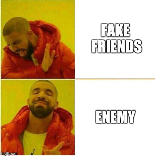 Drake Hotline approves | FAKE FRIENDS; ENEMY | image tagged in drake hotline approves | made w/ Imgflip meme maker
