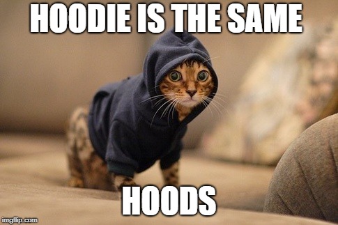 Hoody Cat Meme | HOODIE IS THE SAME HOODS | image tagged in memes,hoody cat | made w/ Imgflip meme maker