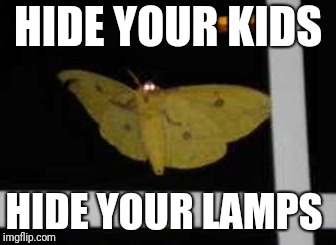 HIDE YOUR KIDS HIDE YOUR LAMPS | made w/ Imgflip meme maker