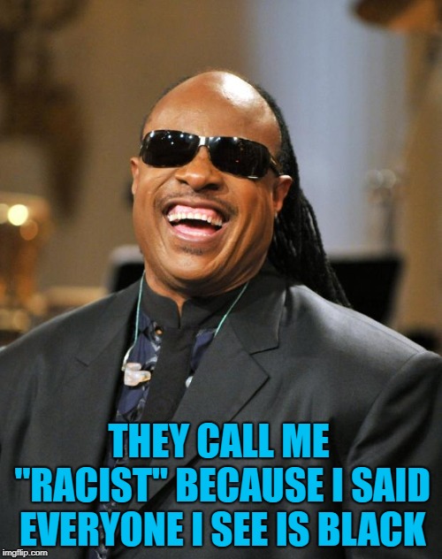 I mean you can't get more colorblind than that!!! | THEY CALL ME "RACIST" BECAUSE I SAID EVERYONE I SEE IS BLACK | image tagged in stevie wonder,memes,racism,funny,blind,truly colorblind | made w/ Imgflip meme maker