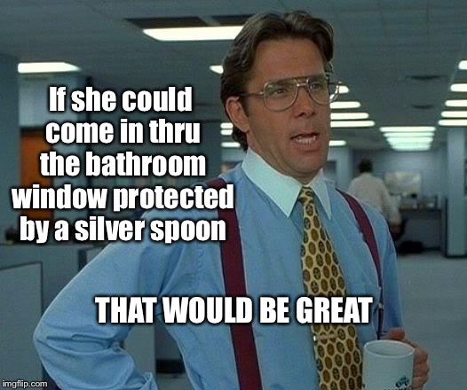 That Would Be Great Meme | If she could come in thru the bathroom window protected by a silver spoon THAT WOULD BE GREAT | image tagged in memes,that would be great | made w/ Imgflip meme maker