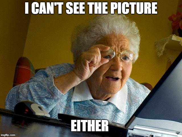 Grandma Finds The Internet Meme | I CAN'T SEE THE PICTURE EITHER | image tagged in memes,grandma finds the internet | made w/ Imgflip meme maker