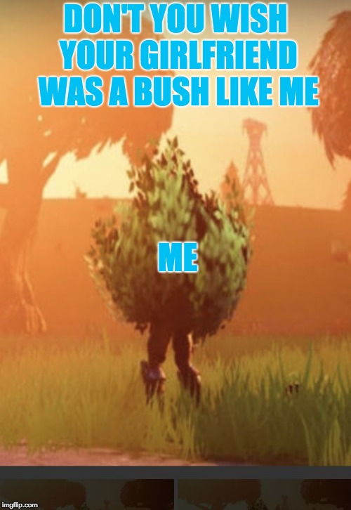 Fortnite bush | DON'T YOU WISH YOUR GIRLFRIEND WAS A BUSH LIKE ME; ME | image tagged in fortnite bush | made w/ Imgflip meme maker