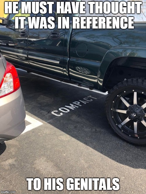 Compact, small, tiny, little, teeny weenie. | HE MUST HAVE THOUGHT IT WAS IN REFERENCE; TO HIS GENITALS | image tagged in bad parking | made w/ Imgflip meme maker