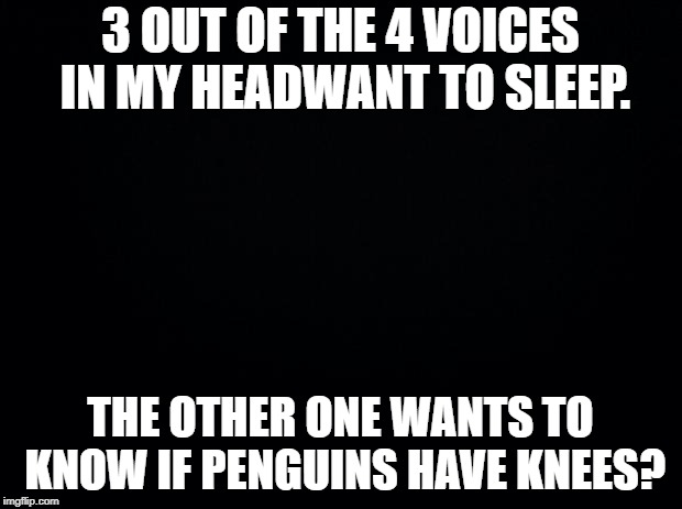 Black background | 3 OUT OF THE 4 VOICES IN MY HEADWANT TO SLEEP. THE OTHER ONE WANTS TO KNOW IF PENGUINS HAVE KNEES? | image tagged in black background | made w/ Imgflip meme maker