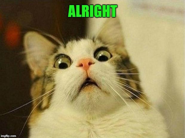 Scared Cat Meme | ALRIGHT | image tagged in memes,scared cat | made w/ Imgflip meme maker