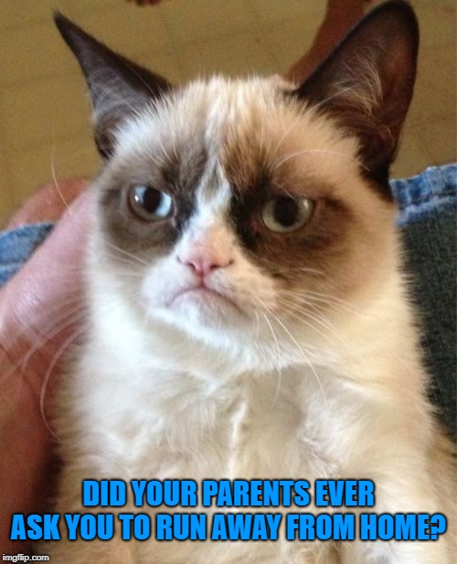 Grumpy Cat Meme | DID YOUR PARENTS EVER ASK YOU TO RUN AWAY FROM HOME? | image tagged in memes,grumpy cat | made w/ Imgflip meme maker