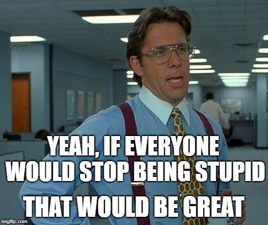 That Would Be Great Meme | YEAH, IF EVERYONE WOULD STOP BEING STUPID; THAT WOULD BE GREAT | image tagged in memes,that would be great | made w/ Imgflip meme maker