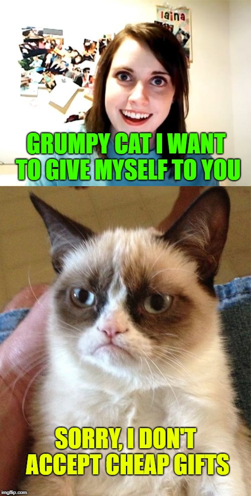 GRUMPY CAT I WANT TO GIVE MYSELF TO YOU; SORRY, I DON'T ACCEPT CHEAP GIFTS | made w/ Imgflip meme maker