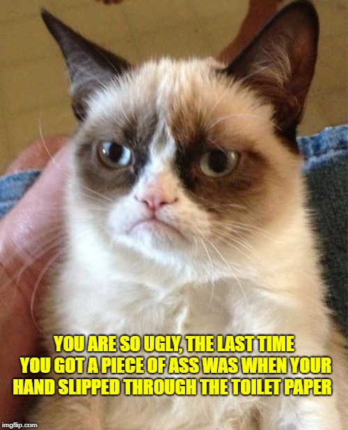 Grumpy Cat Meme | YOU ARE SO UGLY, THE LAST TIME YOU GOT A PIECE OF ASS WAS WHEN YOUR HAND SLIPPED THROUGH THE TOILET PAPER | image tagged in memes,grumpy cat | made w/ Imgflip meme maker